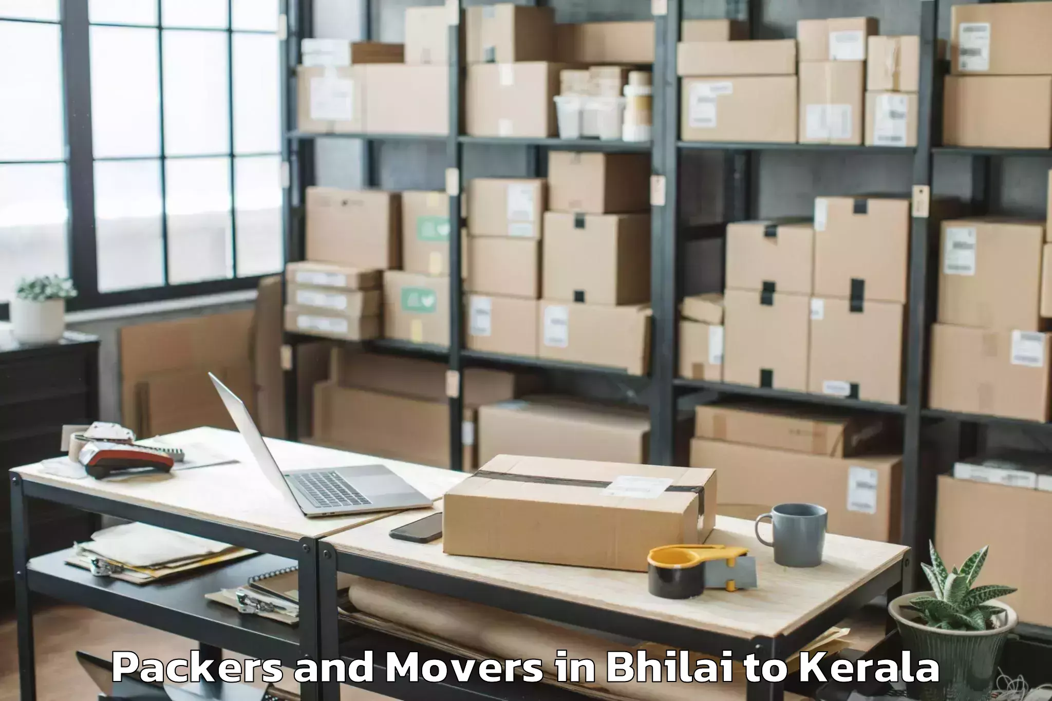 Reliable Bhilai to Adur Packers And Movers